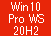 Win 10 Pro 64 for WS Ver20H2