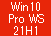 Win 10 Pro 64 for WS Ver21H1